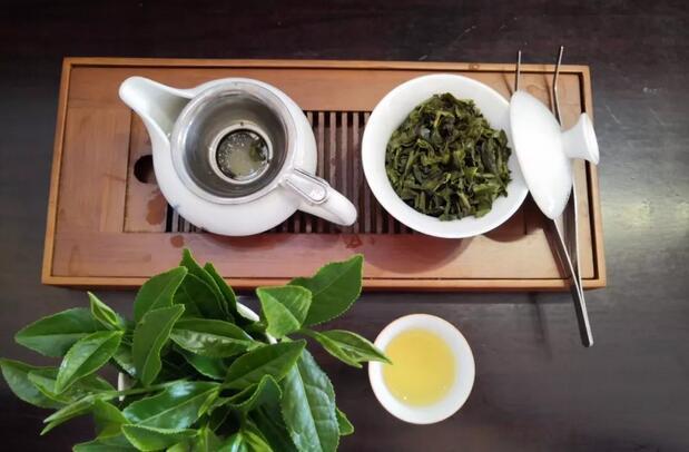 禅意绿茶十二道（绿茶十二道行茶程序）